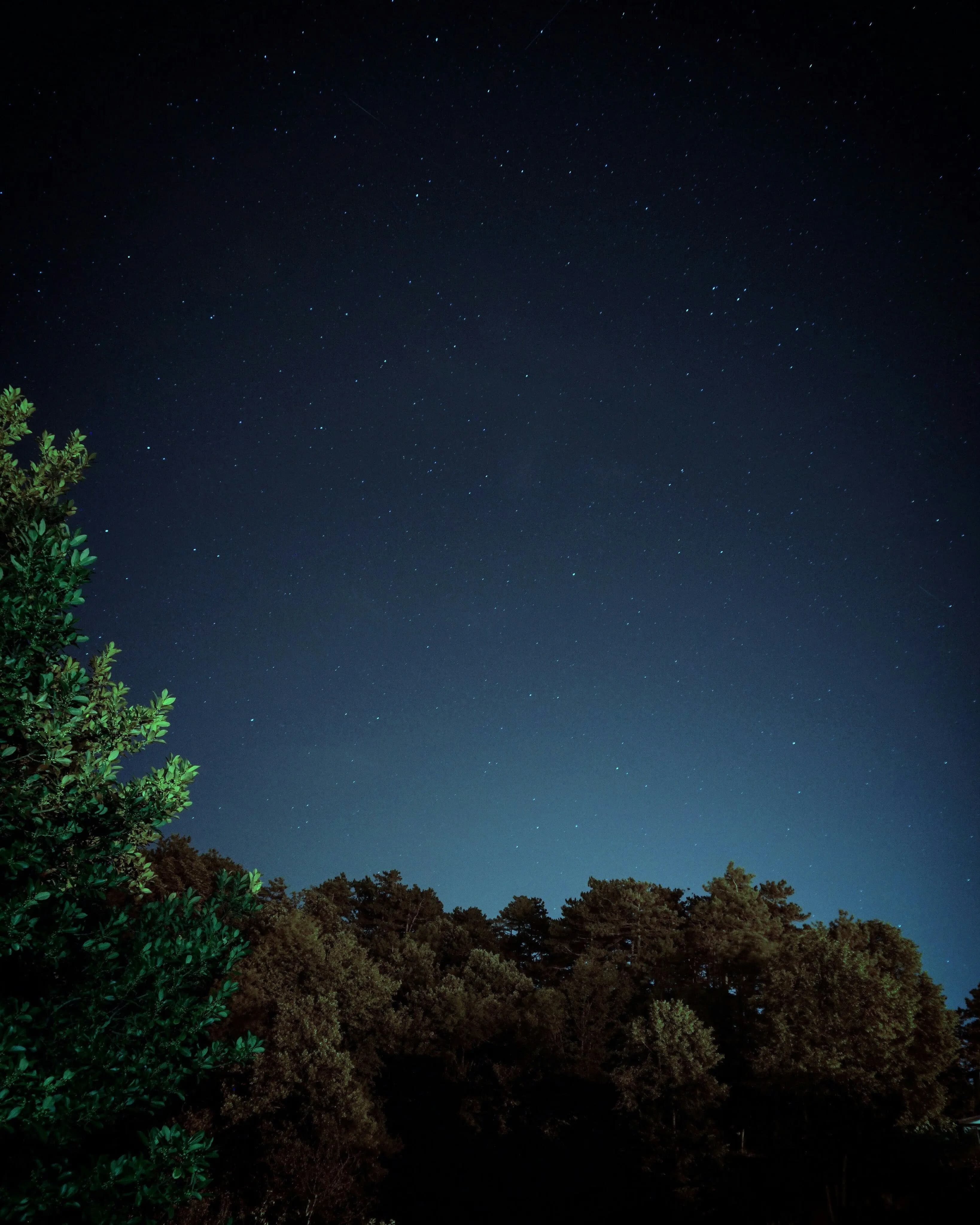 Night sky background